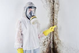 Why You Should Choose Our Mold Remediation Services in Poquott, NY